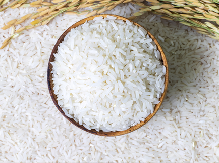 Jasmine Rice